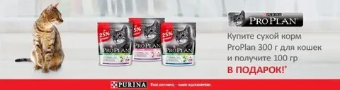 Вайлдберриз корм
