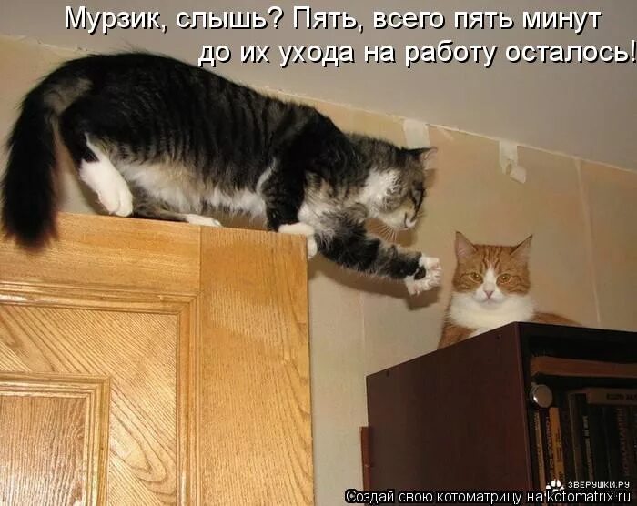 5 вижу 5 слышу