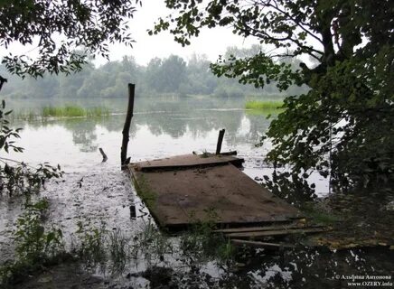 Погода в сенницах 2