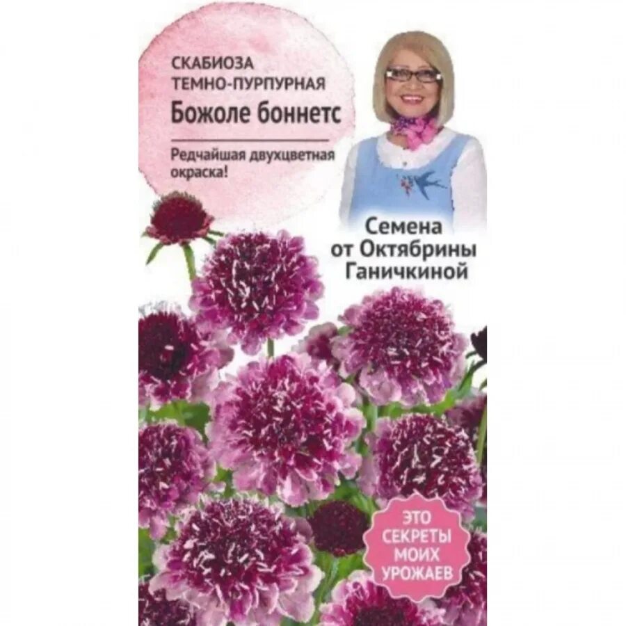 Скабиоза купить семена. Скабиоза скабиоза Beaujolais Bonnets. Скабиоза темно пурпурная. Скабиоза многолетняя семена. Семена скабиоза пурпурная.