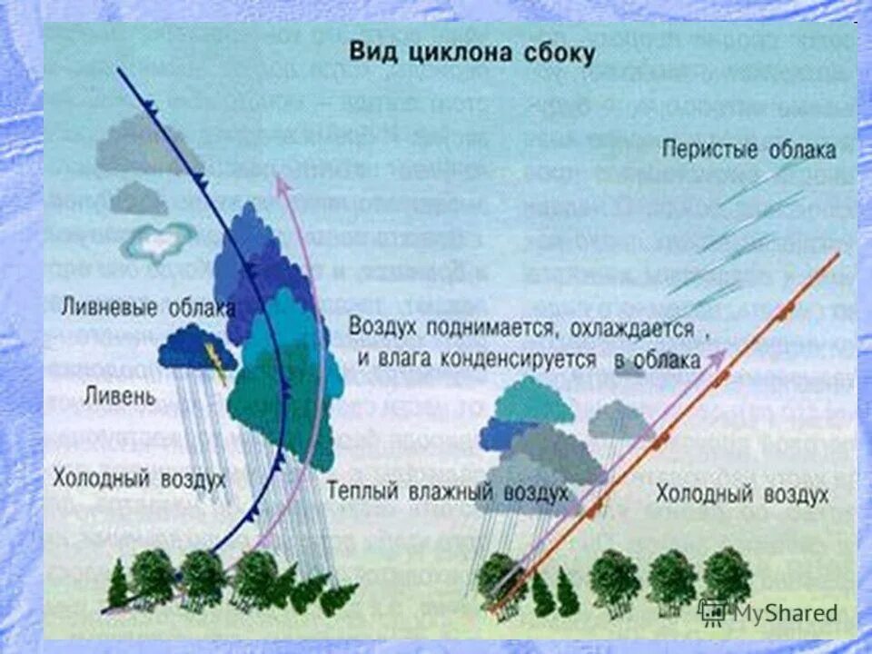 Воздух поднимается от земли влага начинает конденсироваться. Ветер в атмосфере. Какие облака в циклоне. Теплый и холодный ссекторы циклона.