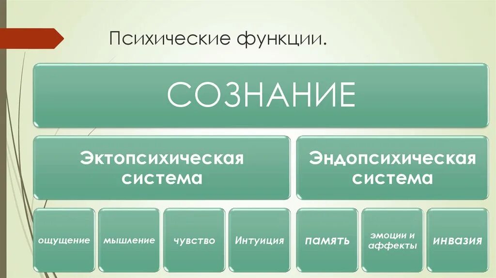 Факторы психических функций. Психические функции. Высшие психические функции. Психические функции человека. Понятие высших психических функций.