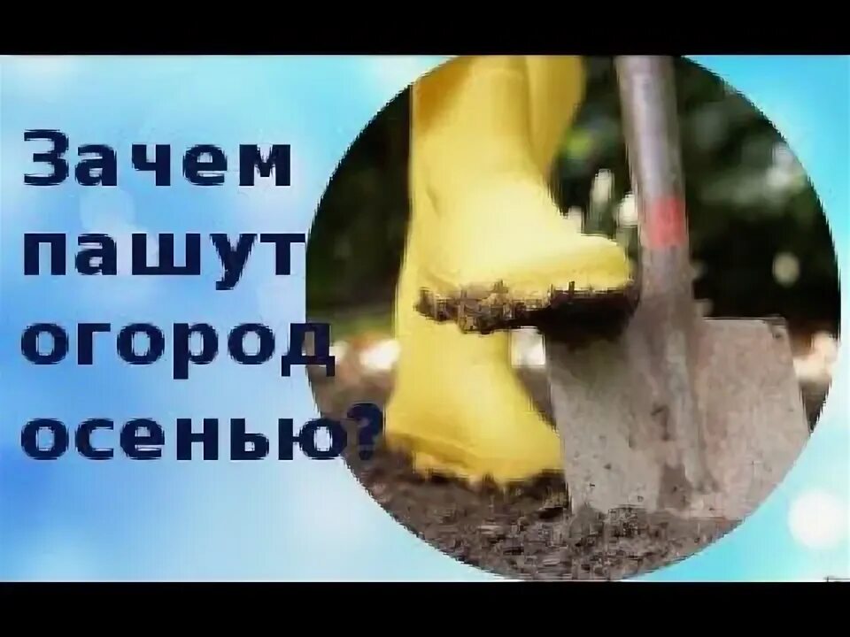 Зачем пашут осенью. Зачем пашут осенью. Зачем пашут осенью. Лошадь запряженная в плуг. Трактор пашет землю.