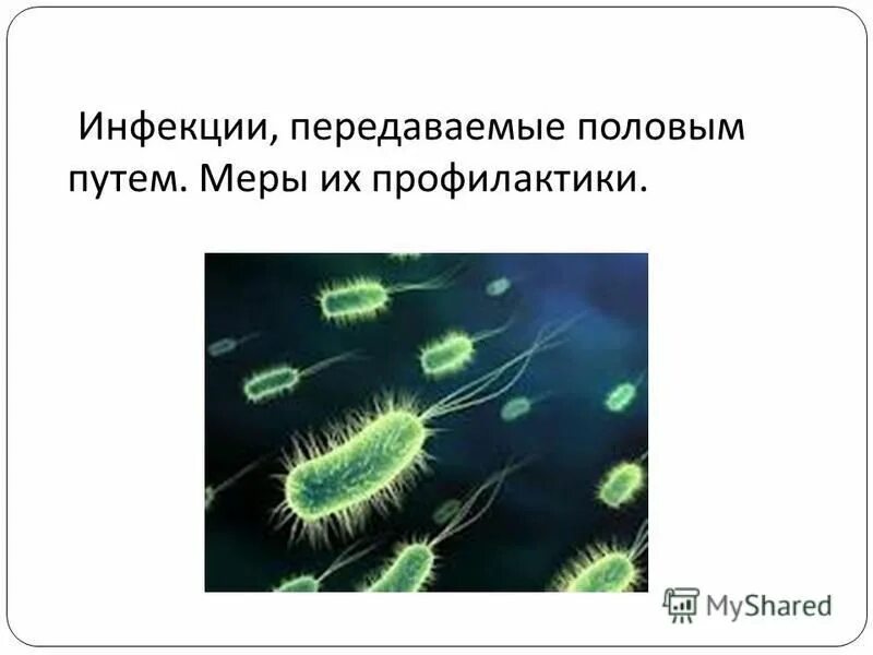Профилактика инфекции передающиеся половымпутем. Меры профилактики инфекционных заболеваний иппп. Профилактика иппп. Профилактика инфекций передающихся половым путём (иппп). Профилактика заболеваний передаваемых половым путем.