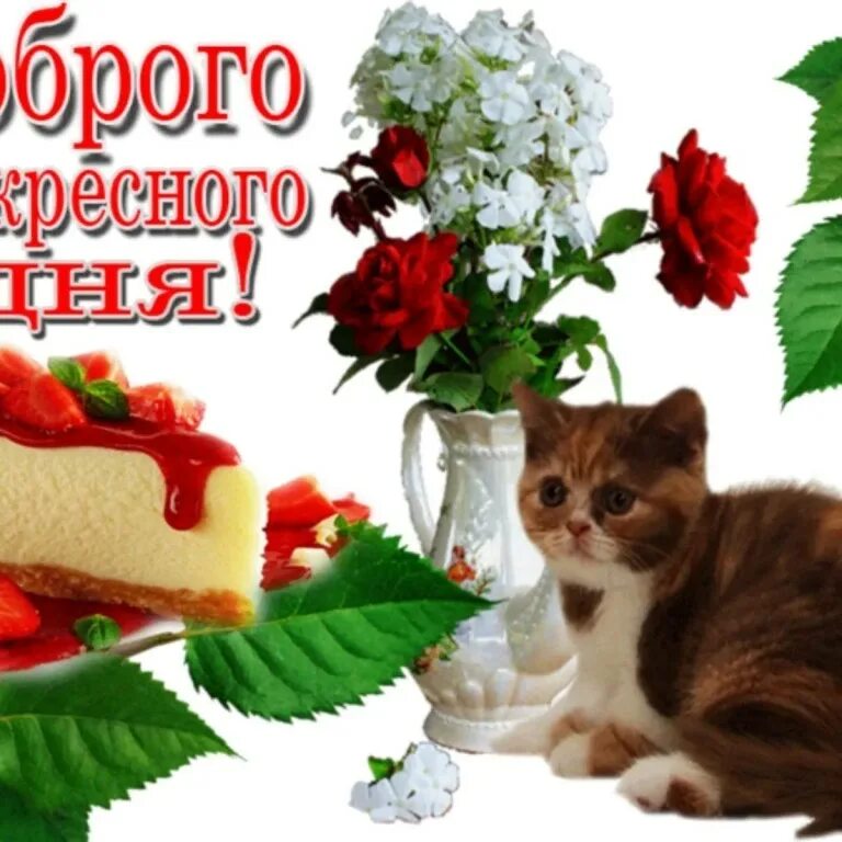 Сладкого воскресного дня. Открытки отличного воскресенья. С добрым утром цветы красивые. Хорошего воскресенья и отличного настроения. Хорошего воскресного.