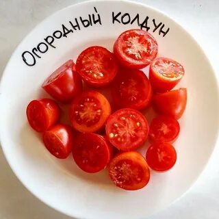 Томат огородный колдун описание