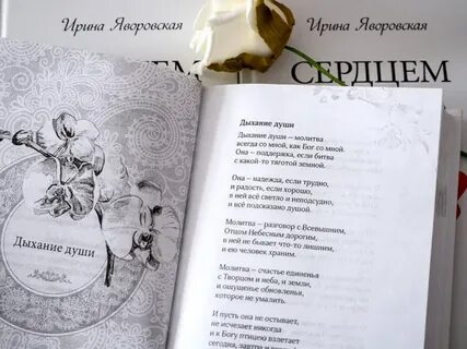 Ум лит