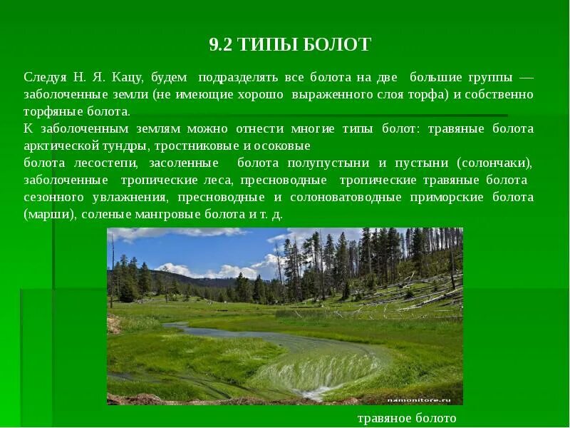 Типы болот. 2 Типа болот. Гидрология болот. Типы болот верховые и низинные.