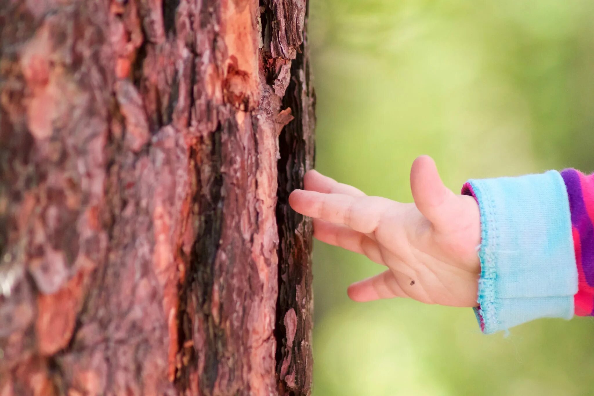 Две руки тянутся друг к другу микеланджело. Досконально прикоснуться. Нежные чувства. Нежность рук. Чувственные прикосновения.