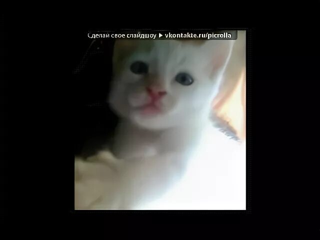 Ладушки ладушки огреб пинка от бабушки. Ты мой маленький хорошенький мой котик. Ты хорошенький мой котик. Ты мой миленький хорошенький котик текст. Ты мой миленький хорошенький котик текст.