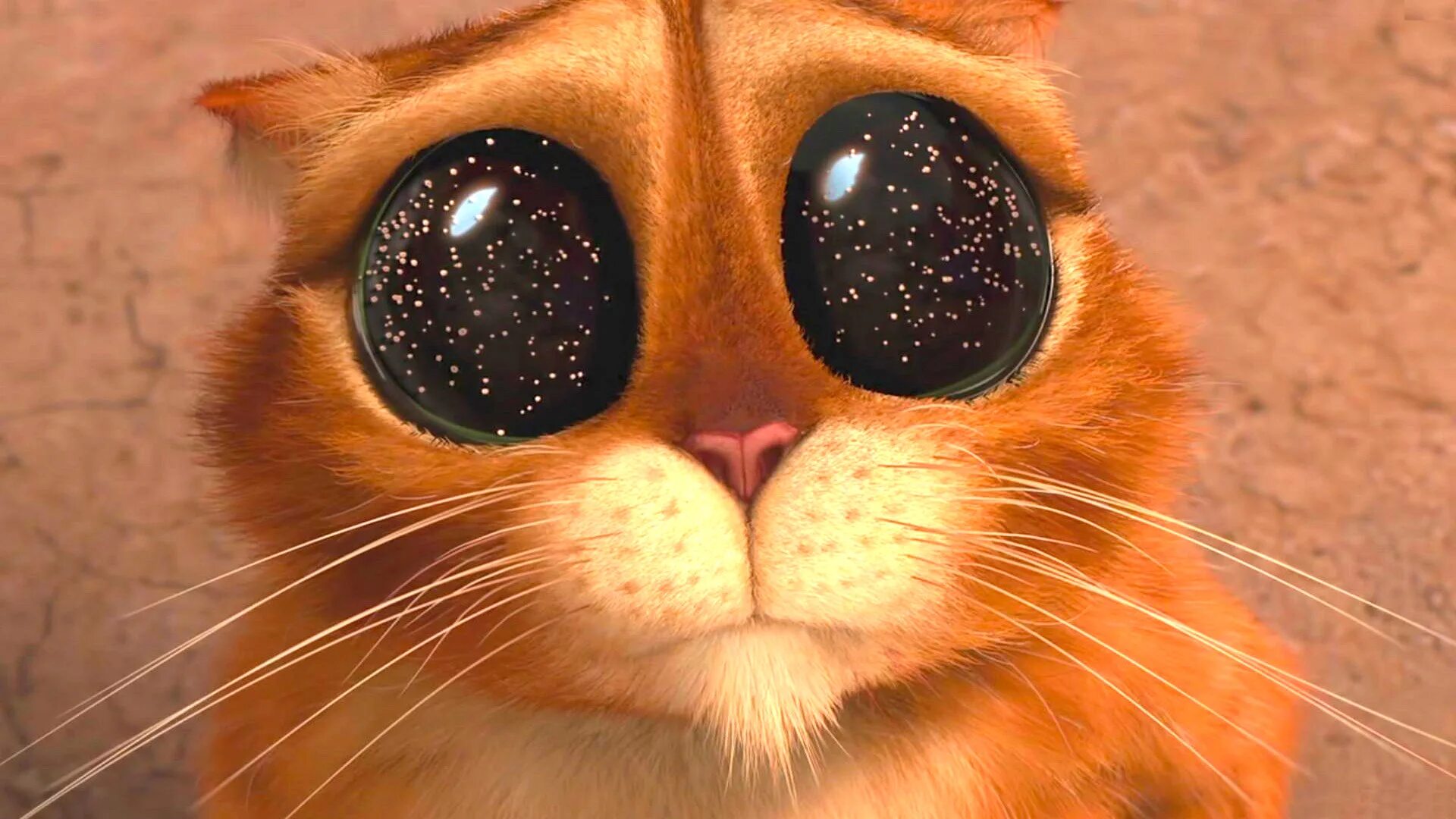 Невинно виноватая. Кот из Шрека. Милые глазки. Глазки кота из Шрека. Кот в сапогах глаза космос.