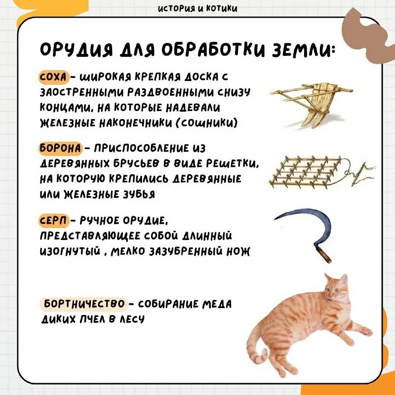 история котиков егэ. история котиков егэ. история котиков егэ. история котиков егэ. история котиков егэ.