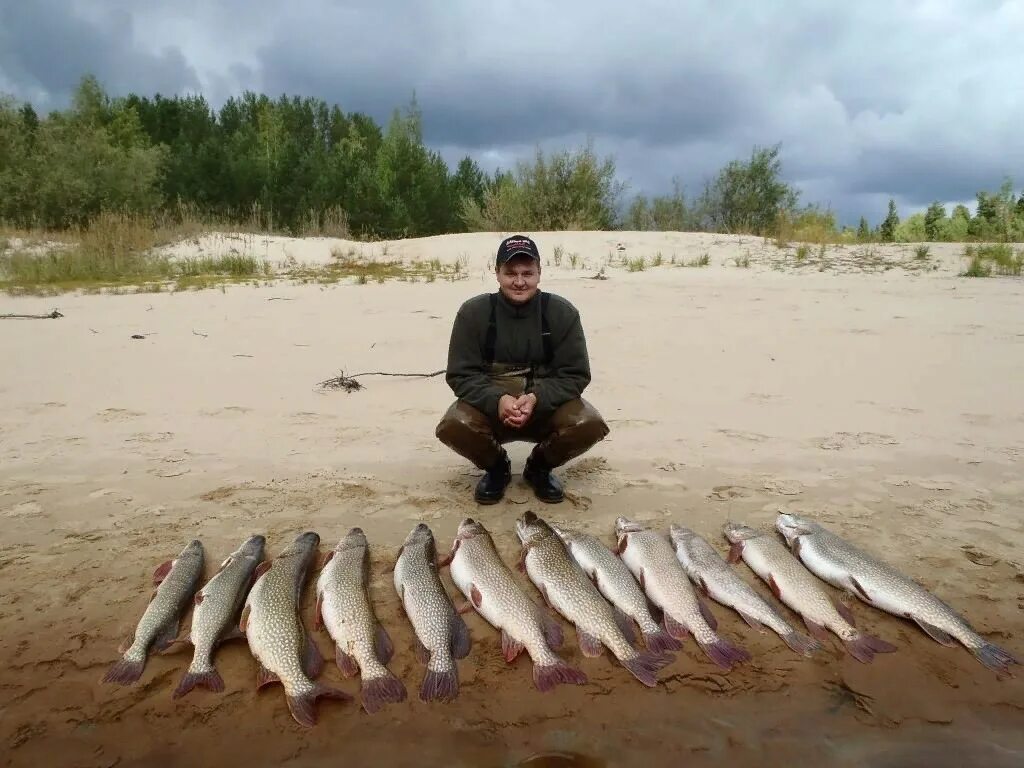 Без улова. Рыбалка улов. "Большой улов". Крупная рыба на рыбалке. Рыбак с уловом.