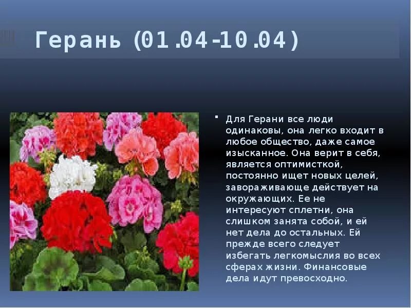 Дева цветок по гороскопу. Цветы по гороскопу. Цветочный гороскоп. Цветочный гороскоп по Дню рождения. Цветок июля по гороскопу.