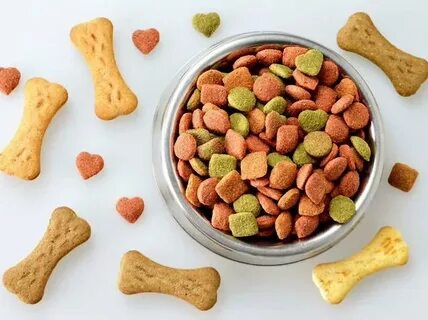 Top 5 Reasons to Choose Procan Dog Food as Your Pet Food Supplier in Pakistan