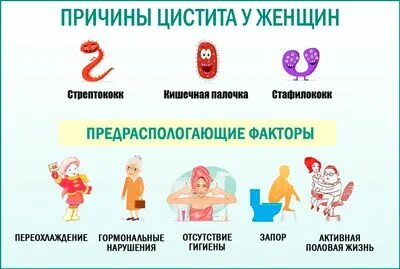 Обострение цистита лечение у женщин
