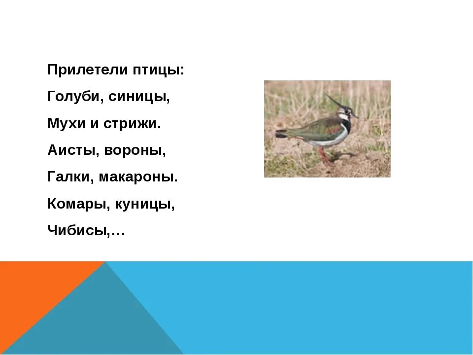 Прилети птичка с леску. Прилетели птицы голуби синицы Аисты вороны. Стих прилетели птицы голуби синицы. Прилетели птицы голуби синицы мухи и Стрижи. Галки прилетели.