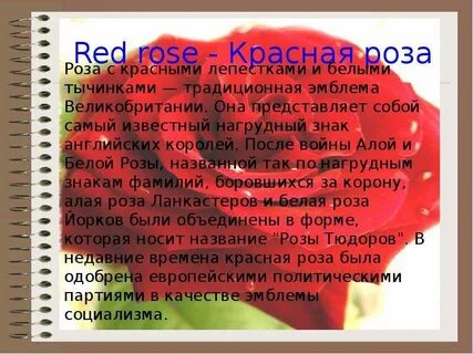 Красные розы текст