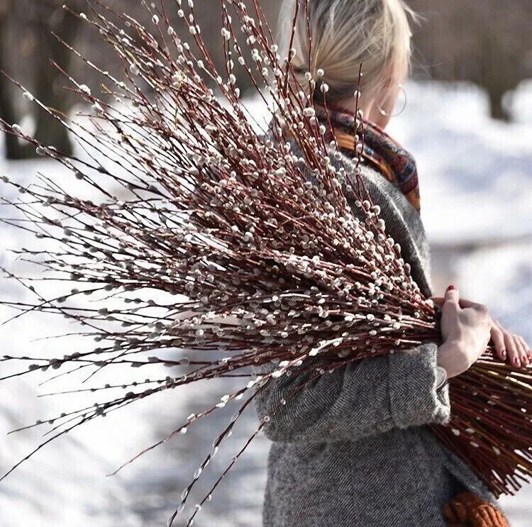 Весной всегда легче. Девушка с веточкой вербы. Девушка с вербой. Фотосессия с вербой.