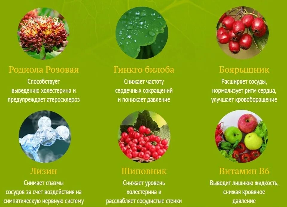 Овощи снижающие давление. Продукты для понижения давления. что расширяет сосуды понижает давление. товары для понижения давления. cardiok препарат для сосудов.