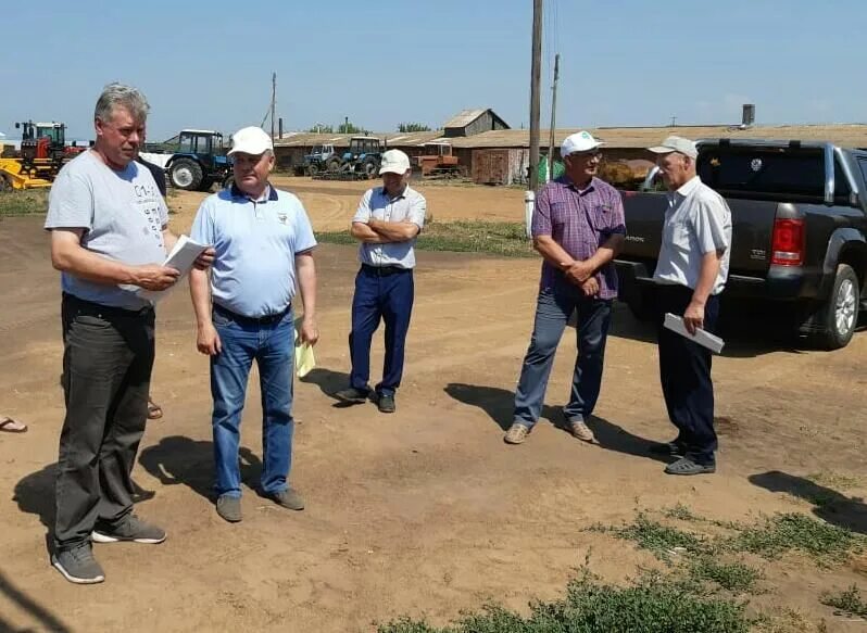 Новая жизнь спасского района татарстан. Глава Болгар Спасский район. Ферма в Спасском районе. Синицин Спасский район. Фермерское хозяйство в Спасск Рязанском.