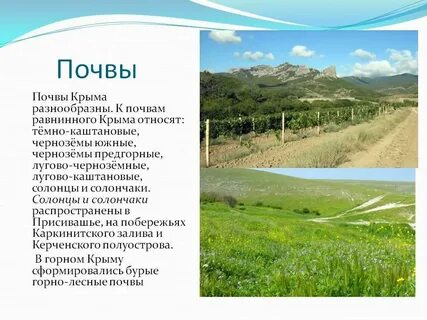 Почвы крыма