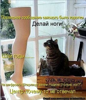 Не знаю куда деть ноги