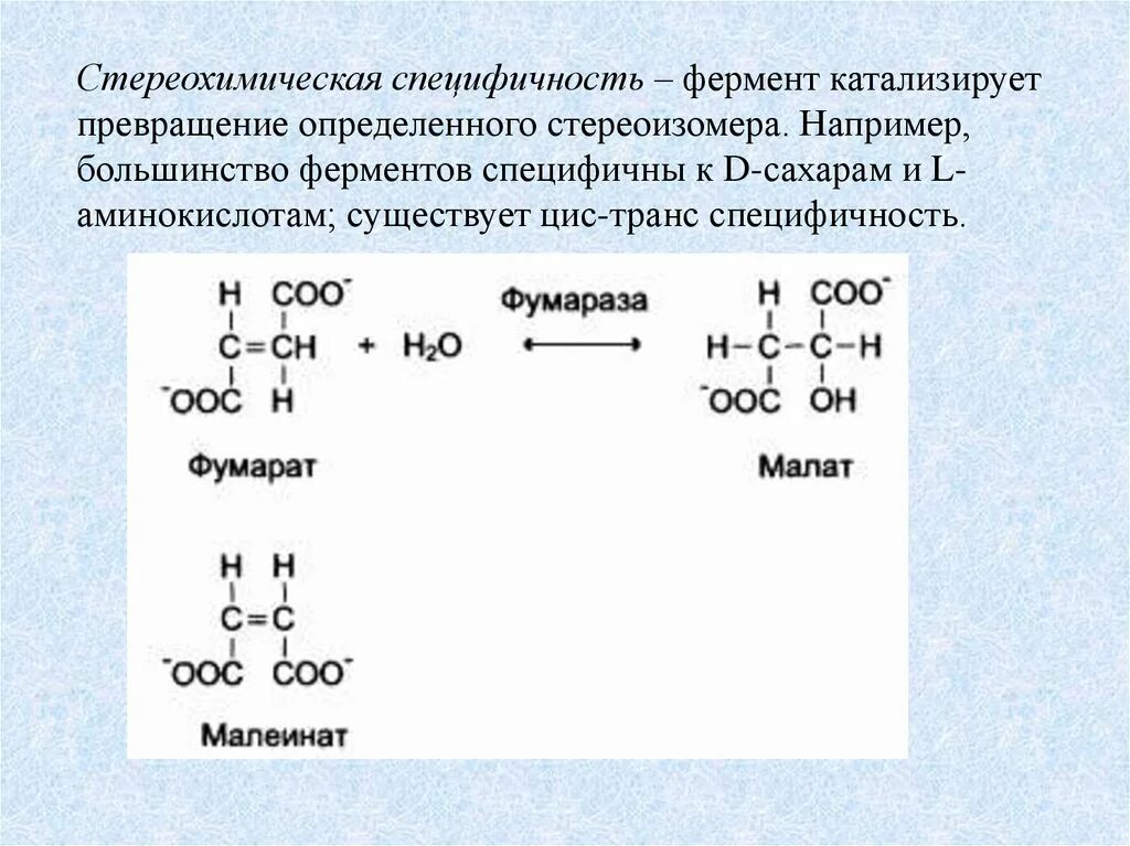 Групповая специфичность. Стереохимическая Субстратная специфичность. Стереохимическая специфичность ферментов. Относительная групповая специфичность. Относительная специфичность ферментов.