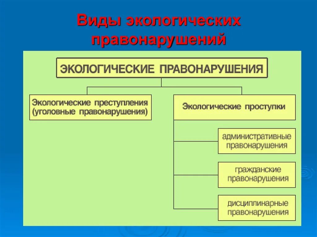 Виды уголовных экологических преступлений. Экологические правонарушения. экологические правонарушения схема. виды экологических преступлений.