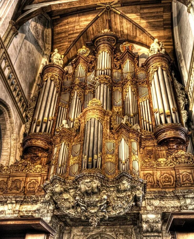 Фото красивых органов