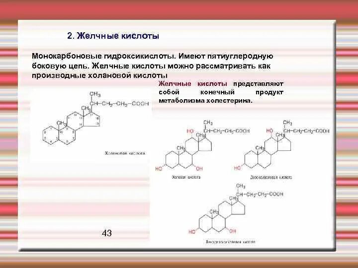 Липиды желчных кислот. Холевая кислота формула. Производные Холана желчные кислоты. Монокарбоновые гидроксикислоты.