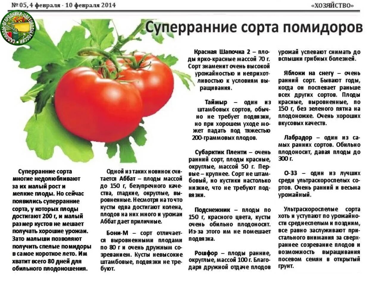 Томат кукла характеристика и описание сорта. Суперранние сорта помидор. плодородные сорта помидор. томат комбайн сорт. помидор или помидоров.