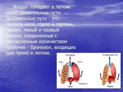 Попадание воздуха в систему