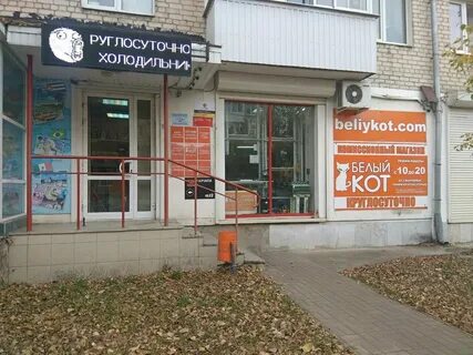 Ломбард кот