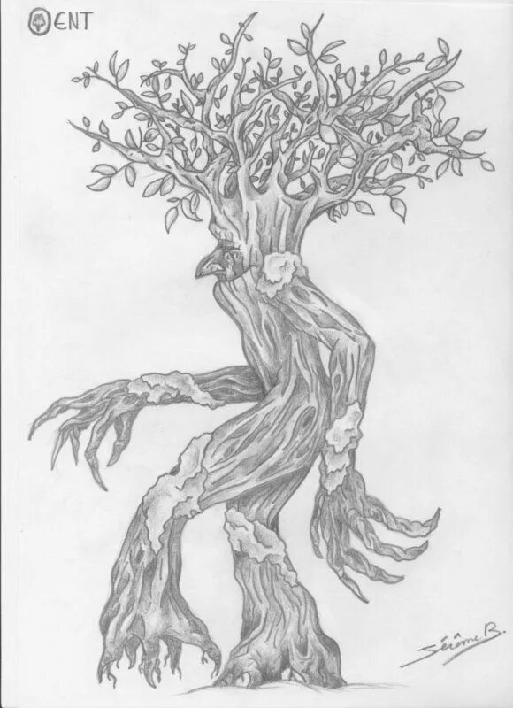 Доброе и злое дерево рисунок. Дзюбокко дерево. Доброе дерево. Дерево монстр рисунок. Доброе дерево рисунок карандашом.