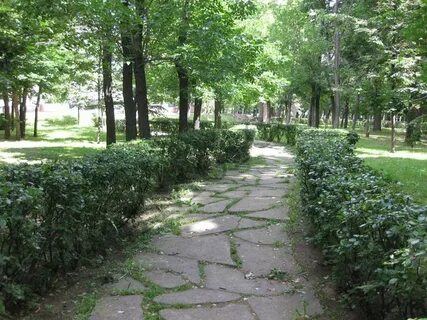Сквер поля