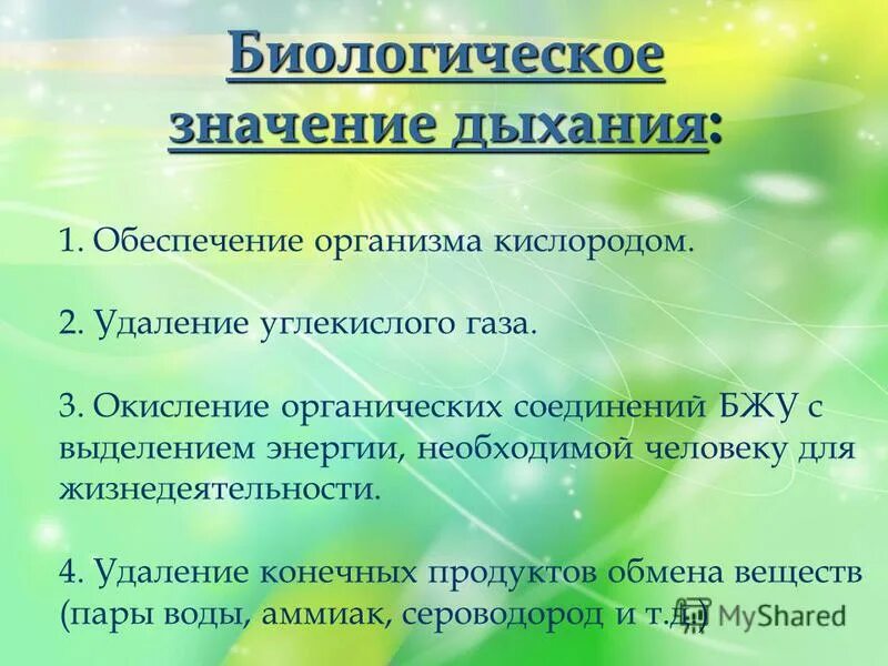 биологическое значение света