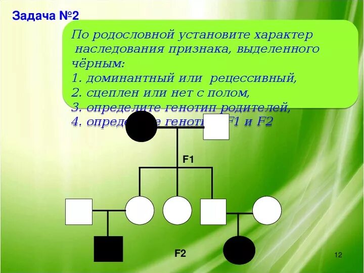 Задачи по родословной. Задачи по генетике генеалогический метод. Задачи родословная по генетике. Наследование признаков человек родословная схема. Задание на родословную биология егэ.