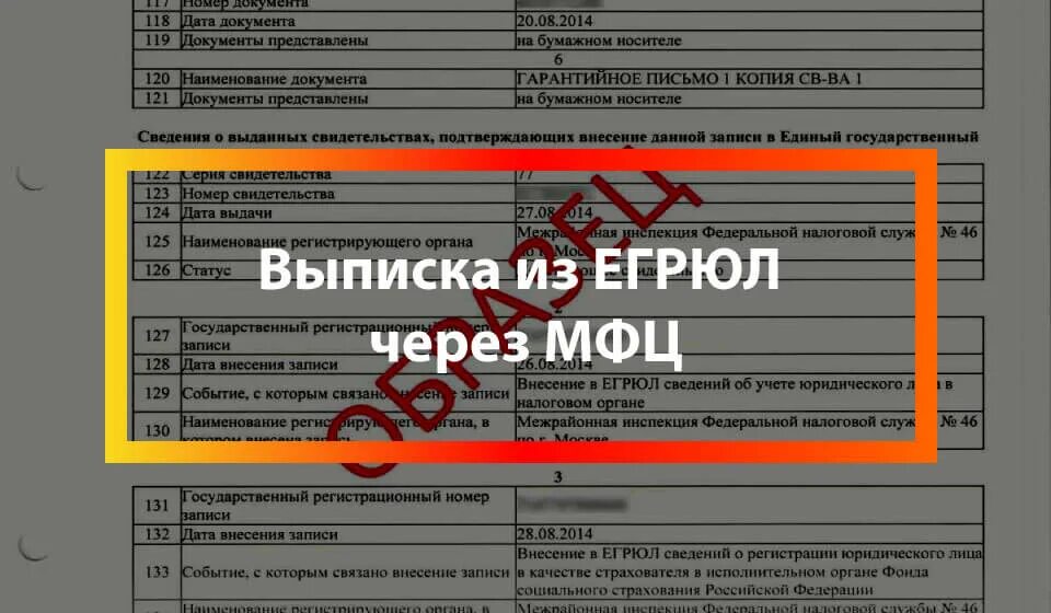 Выписка из ЕГРЮЛ МФЦ. Сведения из ЕГРЮЛ. Выписка из ЕГРЮЛ через МФЦ. Документ о выписки через МФЦ.