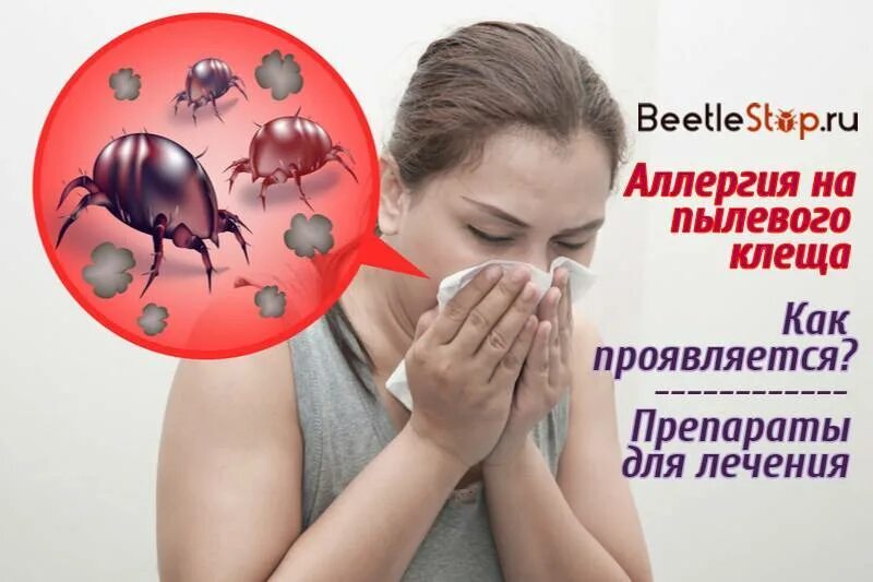 Пыль симптомы