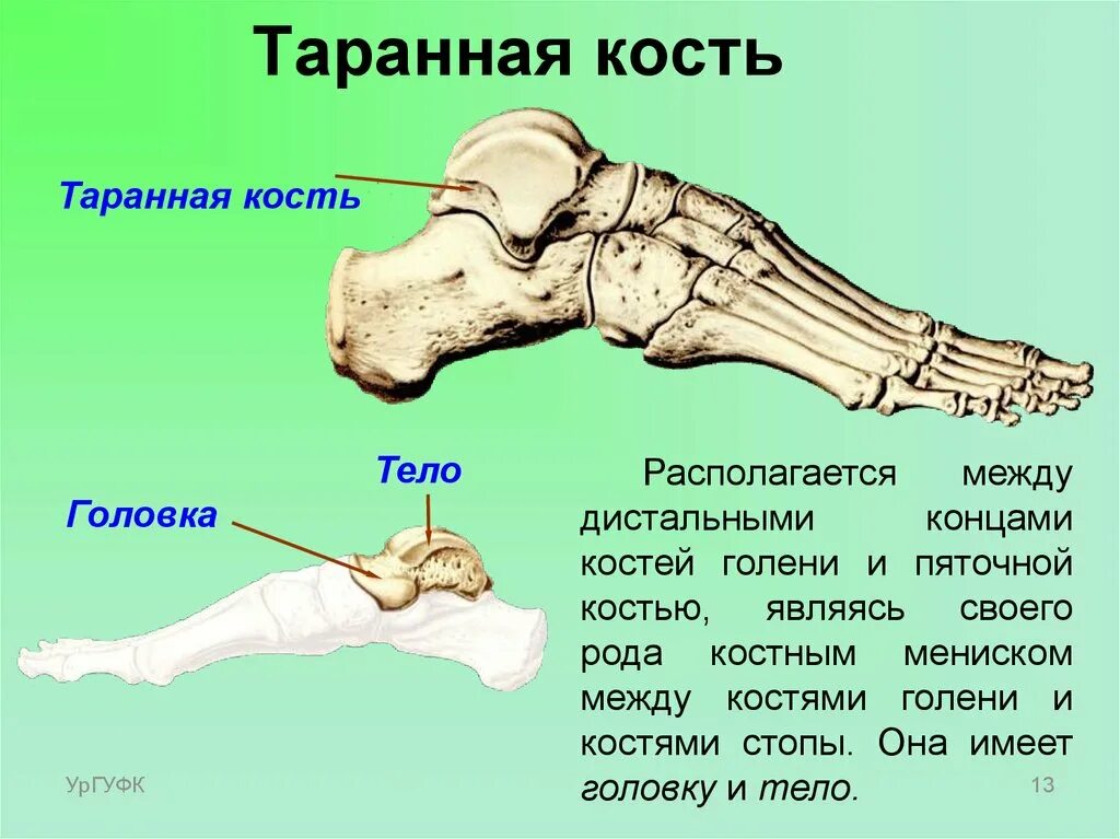 Ковид кости