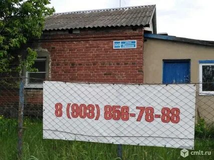 Равновесие лесная ул 26 село ямное отзывы