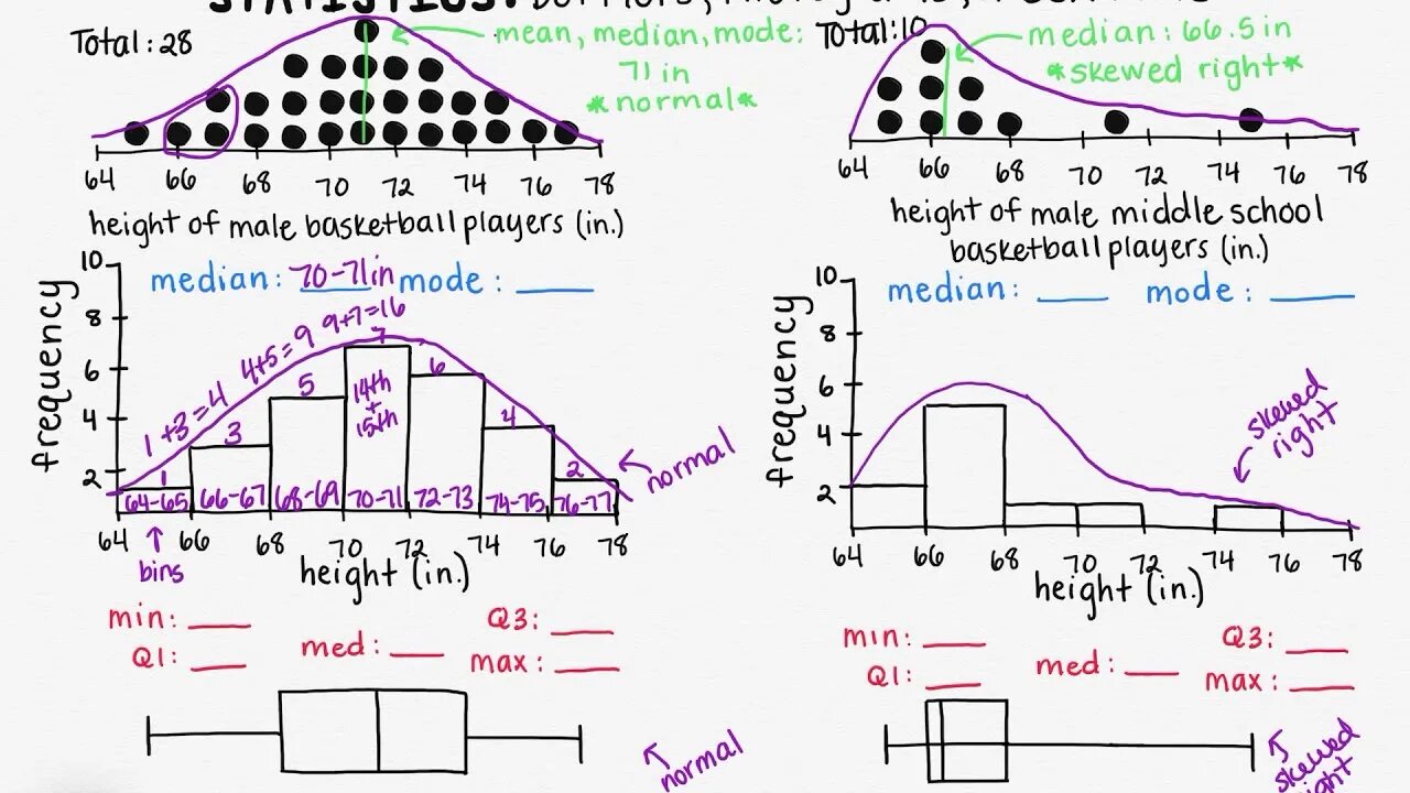 Dot plot. Dot plot (statistics). дот плот. skewed right bar graph.