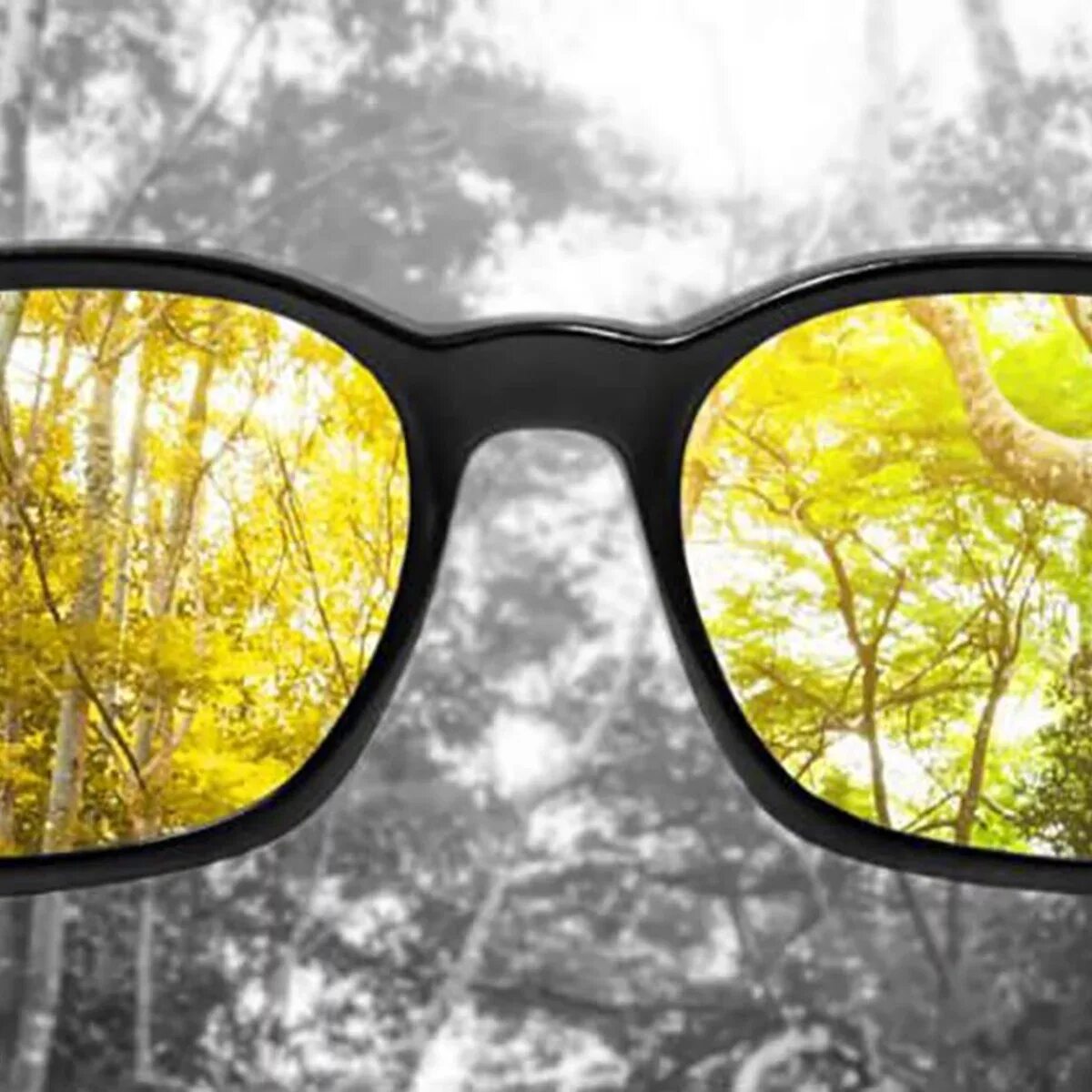 Очки для дальтоников. Специальные очки для дальтоников. Очки от дальтонизма. Очки поляризационные для дальтоников.