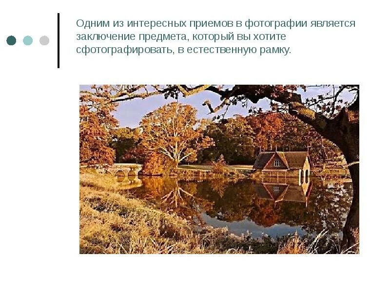 Выразительность композиции. Выразительные средства в фотоискусстве. Средства выразительности в фотографии. Основные средства выразительности в композиции. Средства выразительности в фотографии.