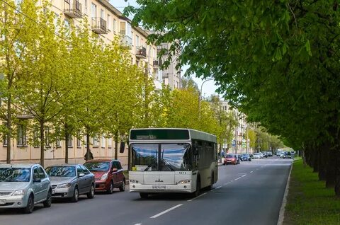 Маршрут 174 автобуса спб остановки