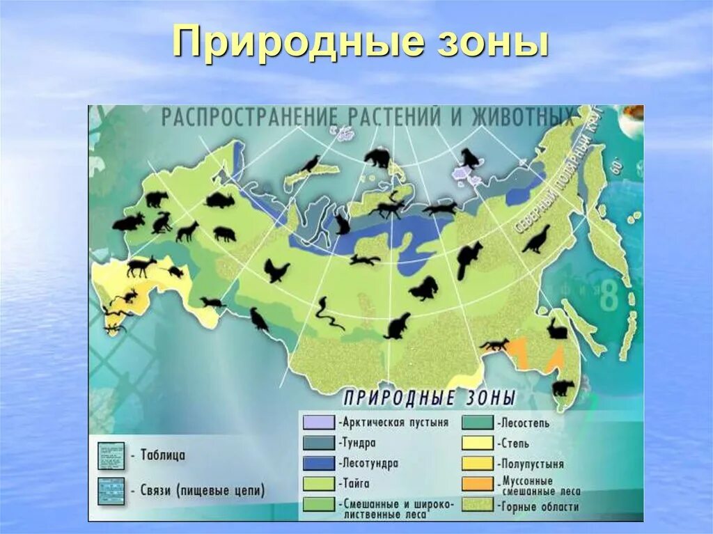 Животные природных зон 4 класс. Карта природных зон России с животными и растениями. Обитатели природных зон России. Природные зоны России Арктика 4 класс. Животные природных зон Росси.