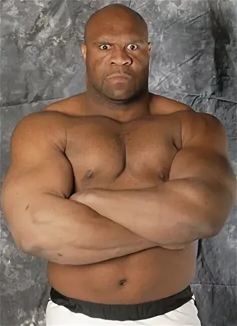 Rolles Gracie vs Bob Sapp One FC 2 - YouTube