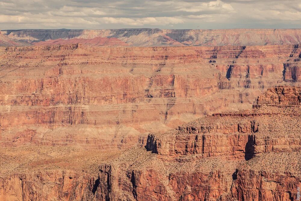 Canyon wall. Великий каньон монголия. Canyon wall. Canyon wall. Гранд каньон.