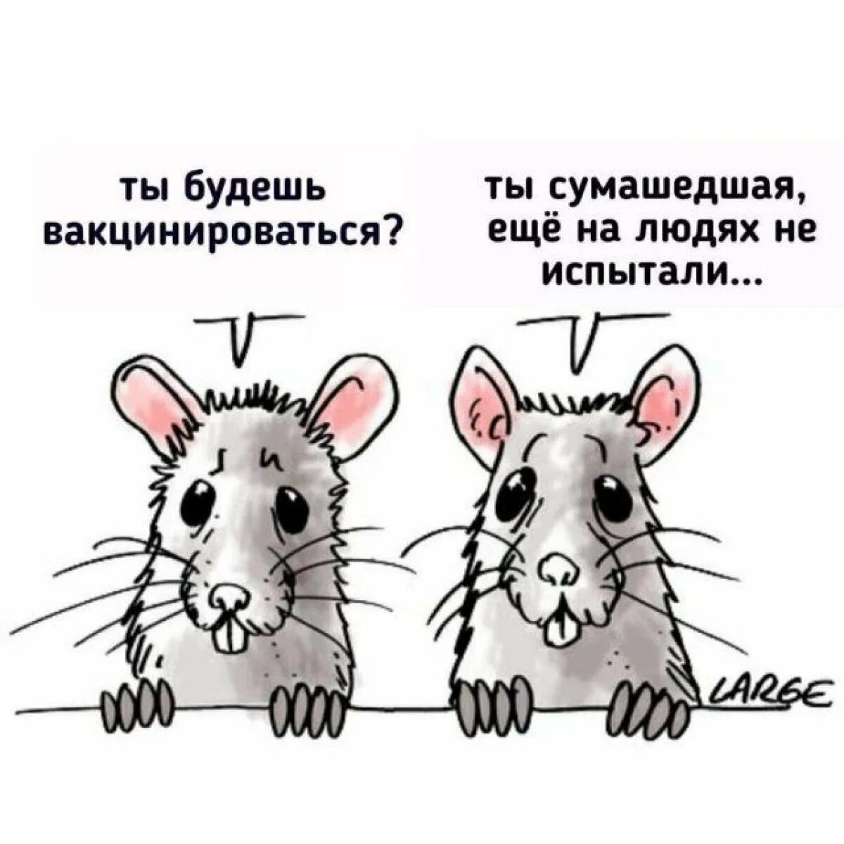 Как писать сумашедший или сумасшедший. Как писать сумашедший или сумасшедший